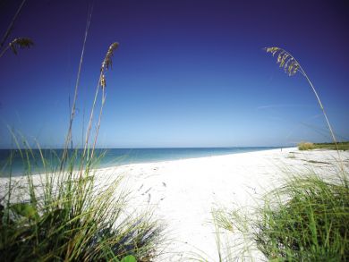 Siesta Key Vacation Condo Walk to Beach Sleeps Six Guests